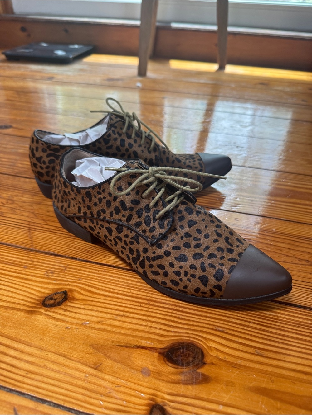 ALL BLACK footwear leopard Print cowhide Lace-Up oxfords